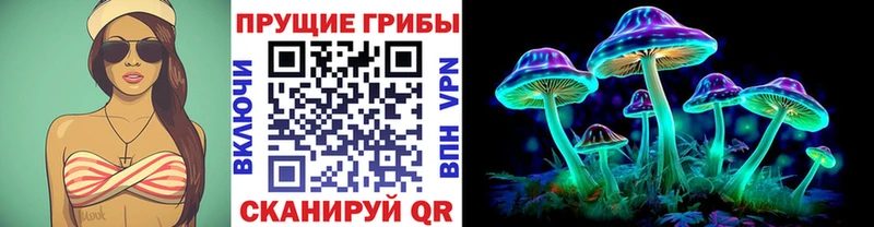 где купить наркотик  МЕГА вход  Галлюциногенные грибы Magic Shrooms  Староминская 